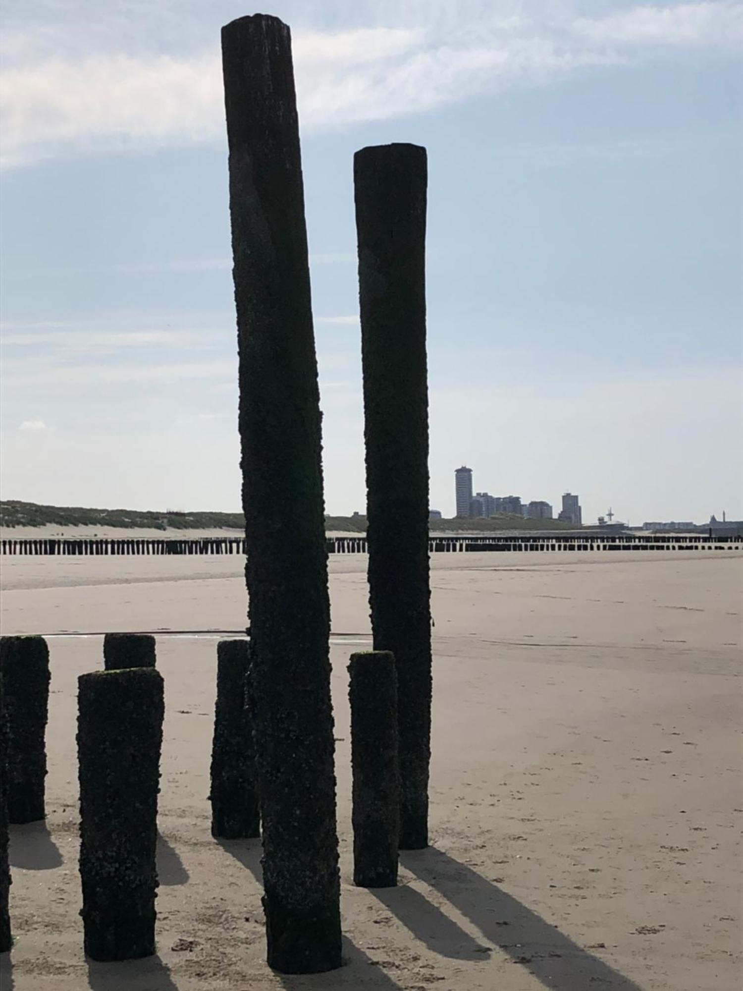 B&B Zeeuws Genoegen Vlissingen Dış mekan fotoğraf